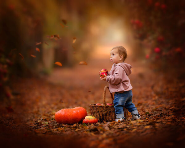 Canon EOS R6 fine art portrait of a little boy standing in an autumn apple orchard by Dutch photographer Willie Kers copy