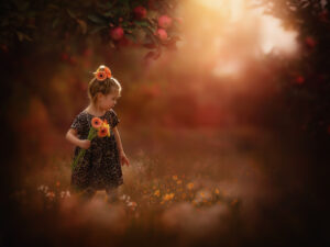 Canon EOS R6 fine art portrait of a young little girl in an apple orchard picking flowers by dutch natural light photographer Willie Kers