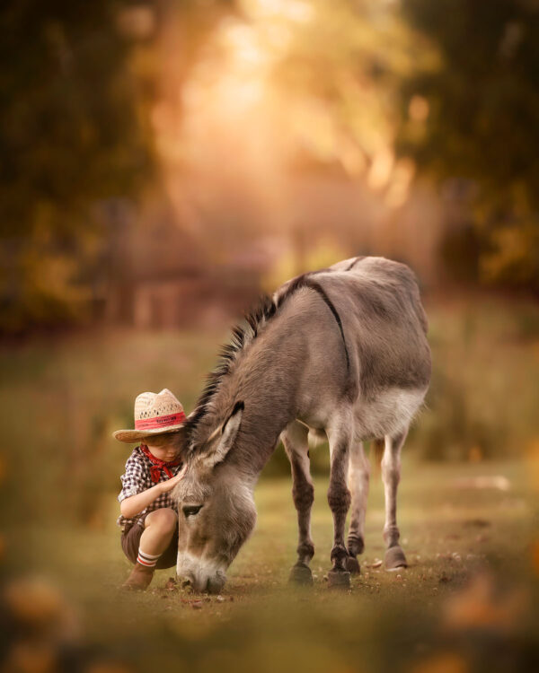 dromerige foto van een jongen en een ezel gemaakt voor de fotografie cursus dromerige fine art portret door natuurlijk licht fotograaf Willie Kers uit Apeldoorn